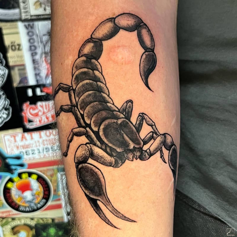 skorpio-tattoo